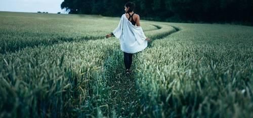 Περαστικός ταξιδιώτης