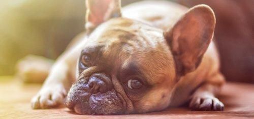 Αδιάφορες σχέσεις, αδιάφορη ζωή