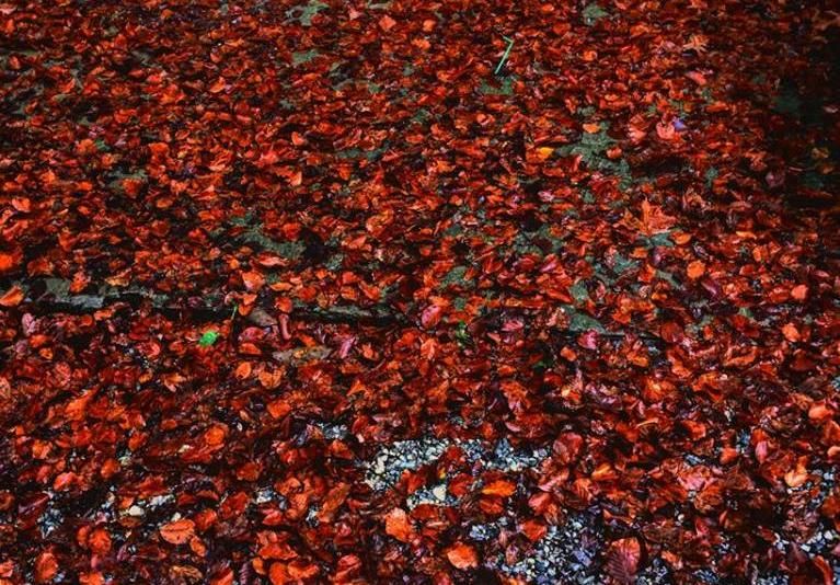 Ατομικές Συνεδρίες Ψυχοθεραπείας