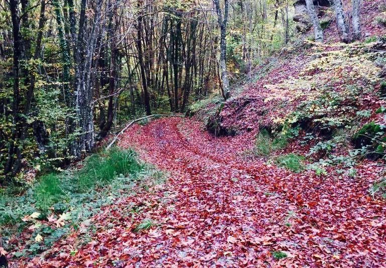  e-συνεδρίες