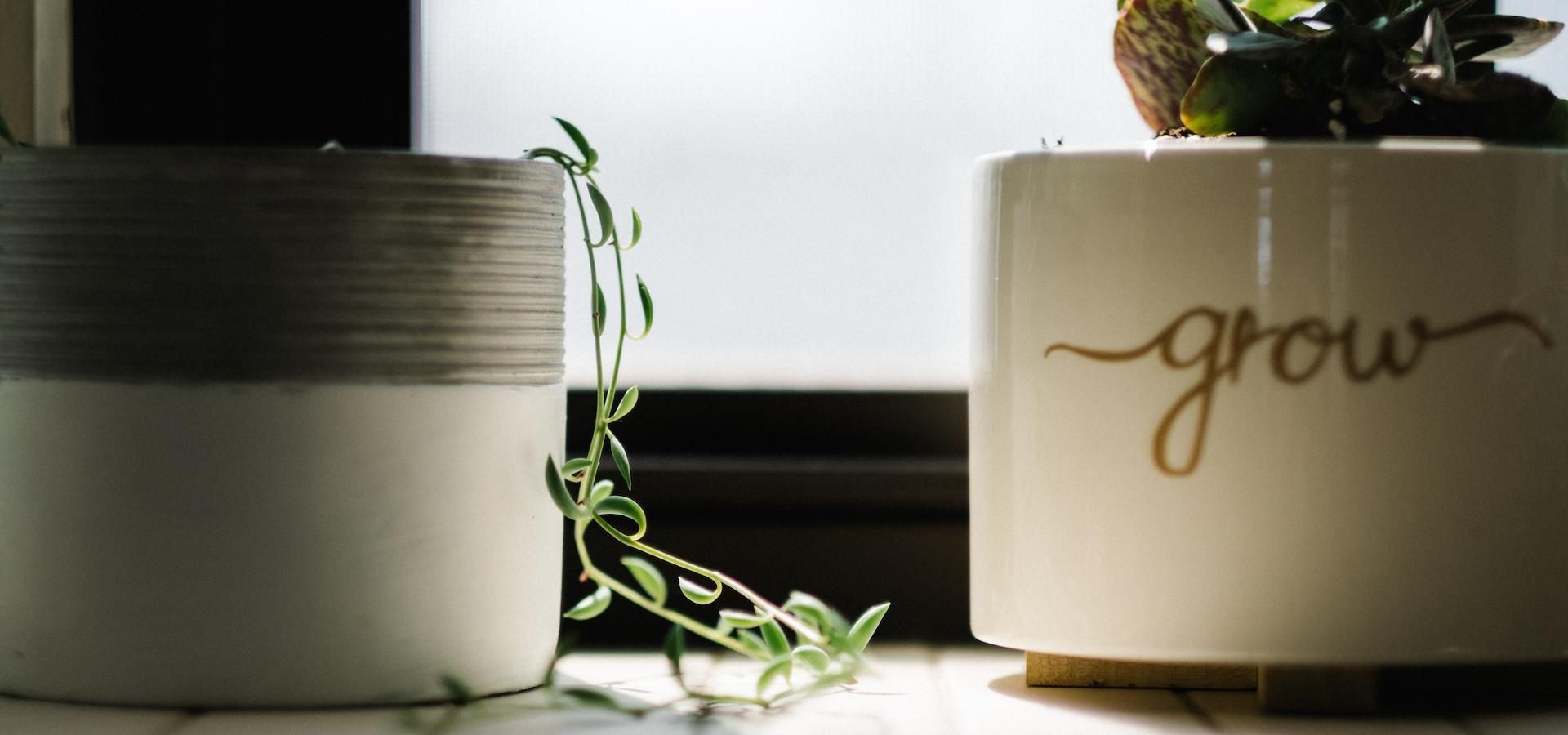 Είσαι αρκετός